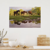 Horses reflected in small stream, Cades Cove, ポスター (キッチン)