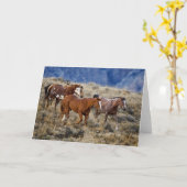 Horses Roaming the Hills カード (黄色い花)