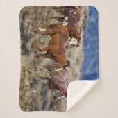 Horses Roaming the Hills シェルパブランケット (正面)