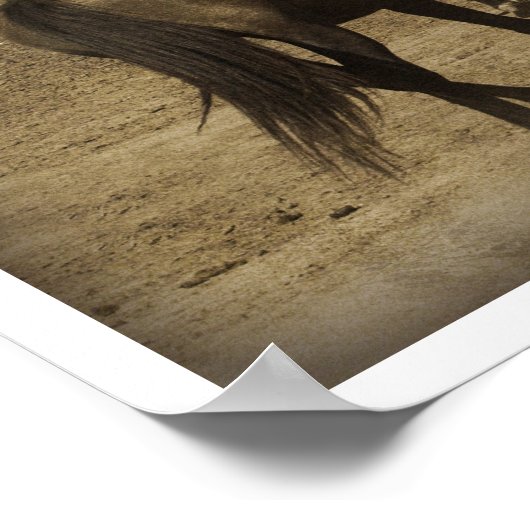 Horses Running ポスター (角)