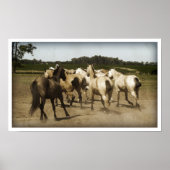 Horses Running ポスター (正面)