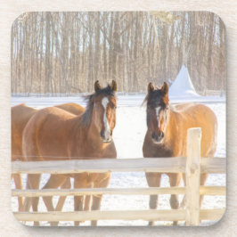 Horses Vermont Winter Hard Plastic Coaster コースター