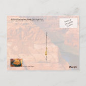 Horseshoe Bend near Page （アリゾナ） ポストカード (裏面)