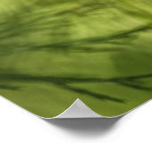 Horsetailの自然写真 ポスター (角)