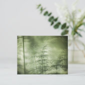 Horsetailの自然写真 ポストカード (スタンド正面)