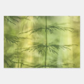 Horsetailの自然写真 ラッピングペーパーシート (正面3)