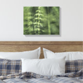 Horsetailフォトグリーンフローラ キャンバスプリント (インサイチュ (寝室))