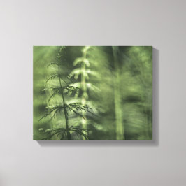 Horsetailフォトグリーンフローラ キャンバスプリント