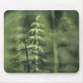 Horsetailフォトグリーンフローラ マウスパッド (正面)