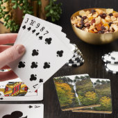 Horsetail秋、コロンビアリバーゲージ、オレゴン トランプ (インサイチュ)
