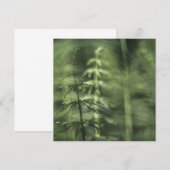 Horsetail自然フォトカード (正面/裏面)