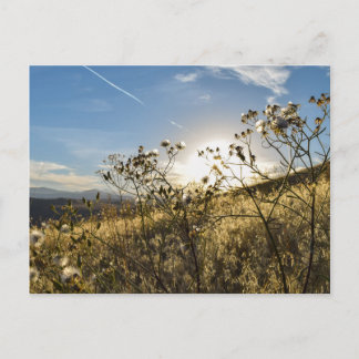 Horsetoothリザーバコロラドポストカード ポストカード