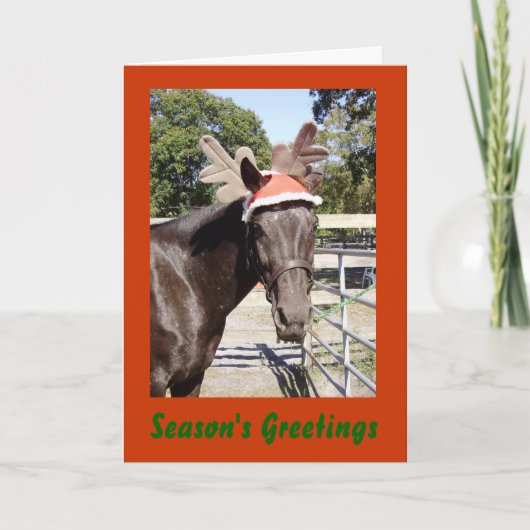 Horsey季節の挨拶 シーズンカード (正面)