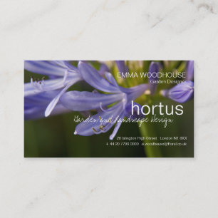 Hortus -アガパンサス属の名刺 名刺