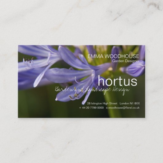 Hortus -アガパンサス属の名刺 名刺 (正面)