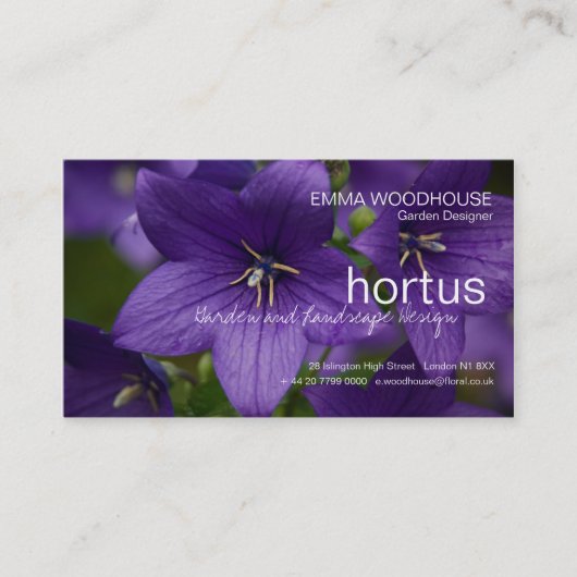 Hortus -中国のなホタルブクロの名刺 名刺 (正面)