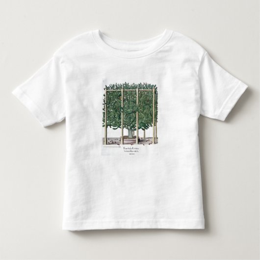 「Hortus Eystetからのフィカスのインドのeystettensis、 トドラーTシャツ (正面)
