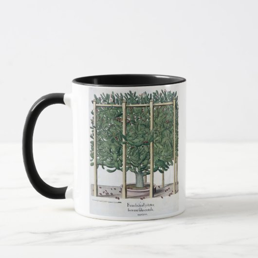 「Hortus Eystetからのフィカスのインドのeystettensis、 マグカップ (左)