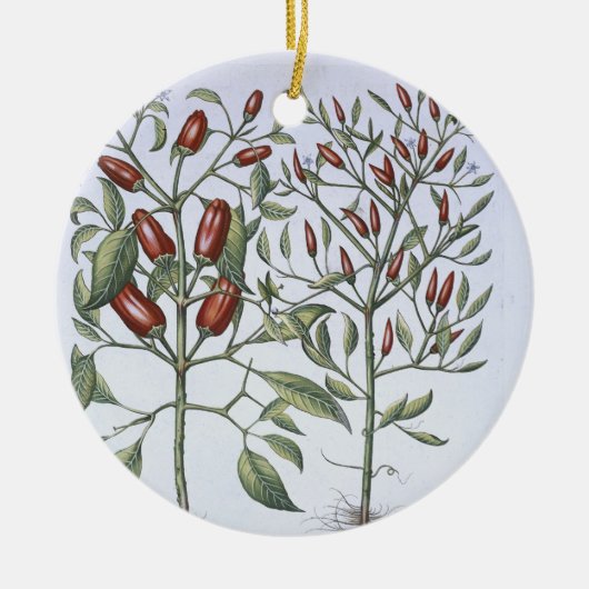 「Hortus Eystettensiからのチリペッパーの植物、 セラミックオーナメント (正面)