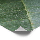 Hosea 4:6聖なる書物、 経典ポスター ポスター (角)