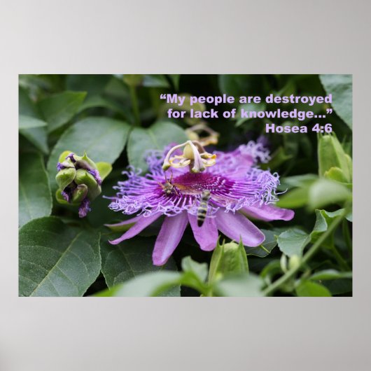 Hosea 4:6聖なる書物、 経典ポスター ポスター (正面)