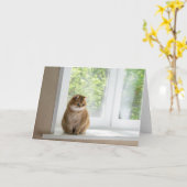 Hosico by the window カード (黄色い花)