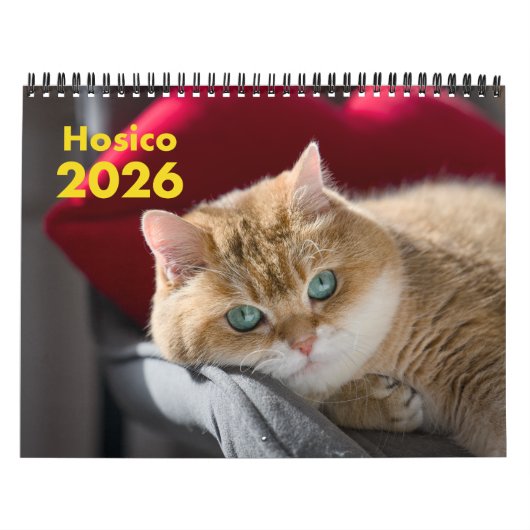 Hosico Calendar 2026 カレンダー (カバー)