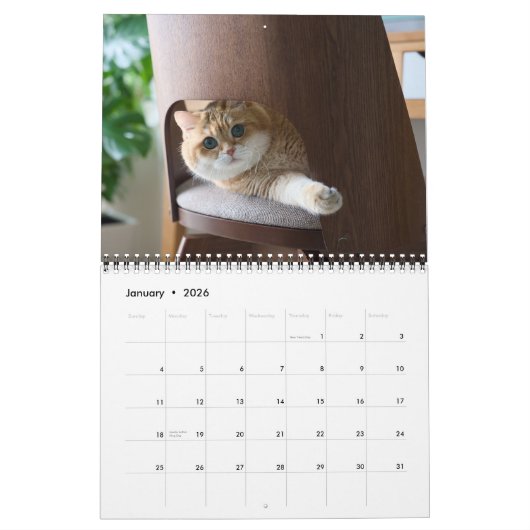 Hosico Calendar 2026 カレンダー (1月 2026)