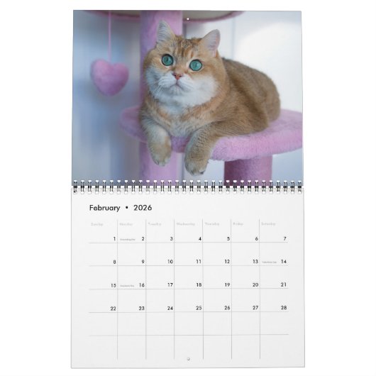Hosico Calendar 2026 カレンダー (2月 2026)