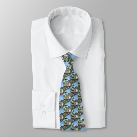 Hospital Point Light house, Massachusetts Mens Tie ネクタイ (タイ)