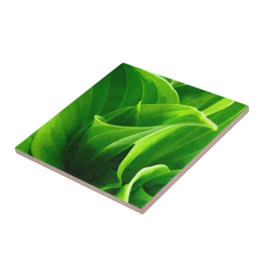 HostAのタイル タイル (側面)