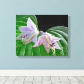 Hosta植物の葉と花 キャンバスプリント (インサイチュ (ウッドフロア))