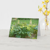 HostA カード (黄色い花)