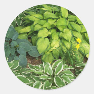 HostA ラウンドシール