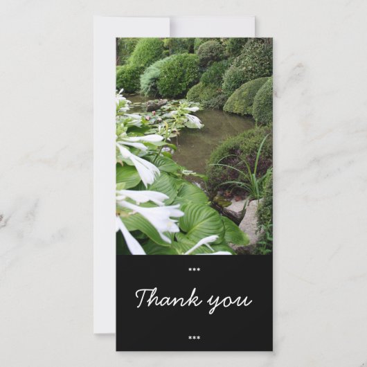 Hosta in a Zen Garden Thank You Photo Card サンキューカード (正面)