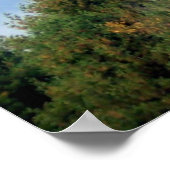 Hot Air Balloon ll ポスター (角)