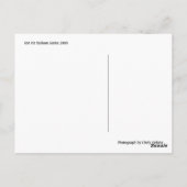 Hot Air Balloon Series 2009 ポストカード (裏面)