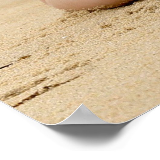 Hot ! Bikini Beach Babe  ポスター (角)