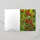 Hot Peppers for Hot Chile! 箔グリーティングカード (外側レイダウン)