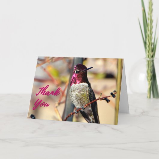 Hot Pink Anna's Hummingbird写真サンキューカード サンキューカード (正面)
