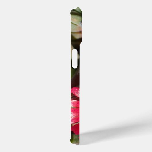 hot pink succulent flower photo Case-Mate iPhoneケース (裏面 / 右)