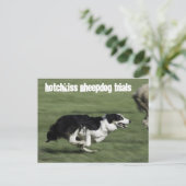 Hotchkiss Sheepdog試用版はがき ポストカード (スタンド正面)