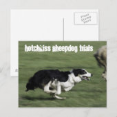 Hotchkiss Sheepdog試用版はがき ポストカード (正面/裏面)