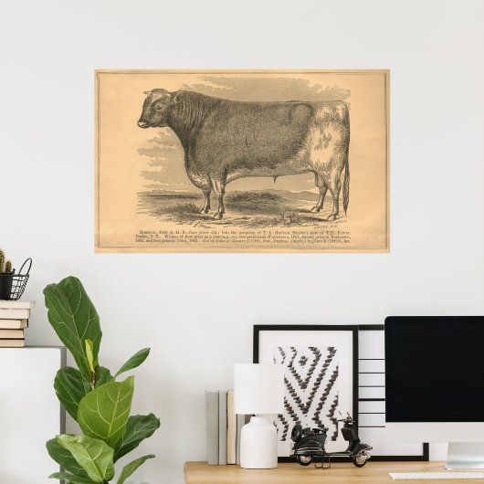 Hotspur, First Prize Bull at Utica, 1863 ポスター (ホームオフィス)