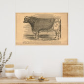Hotspur, First Prize Bull at Utica, 1863 ポスター (キッチン)