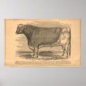 Hotspur, First Prize Bull at Utica, 1863 ポスター (正面)