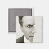 Houdini光学錯覚 マグネット (正面/裏面)