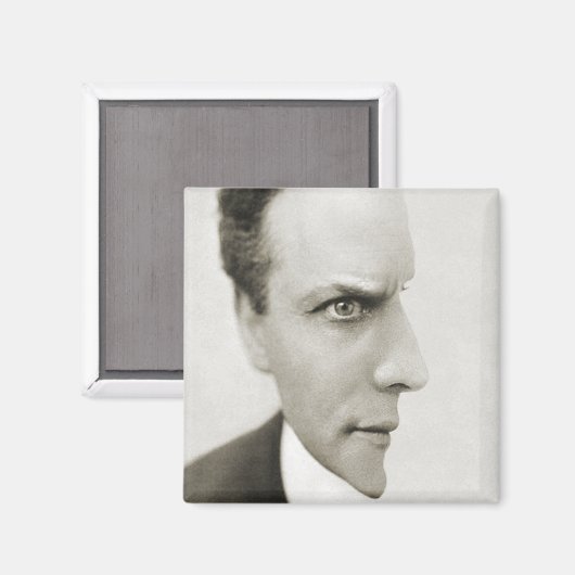 Houdini光学錯覚 マグネット (正面/裏面)