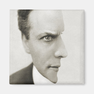 Houdini光学錯覚 マグネット