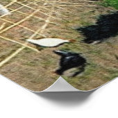 House and Reeds – フェリックス・バロットン・ポスター ポスター (角)